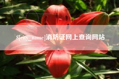 聊城消防证网上查询网站
