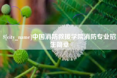 聊城中国消防救援学院消防专业招生简章