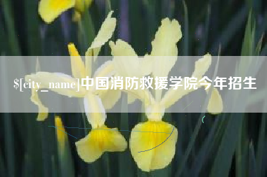 聊城中国消防救援学院今年招生