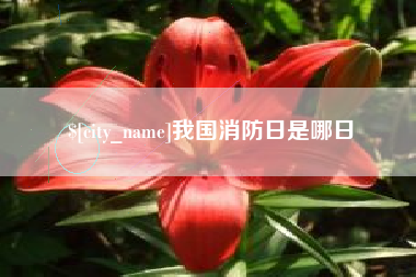 聊城我国消防日是哪日