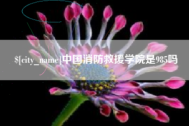 聊城中国消防救援学院是985吗