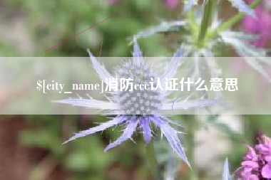 聊城消防ccc认证什么意思