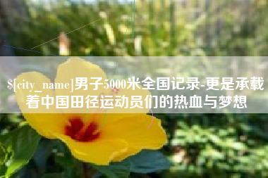 聊城男子5000米全国记录-更是承载着中国田径运动员们的热血与梦想