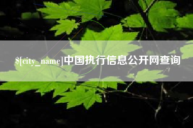 聊城中国执行信息公开网查询