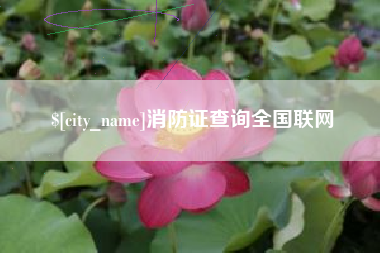 聊城消防证查询全国联网