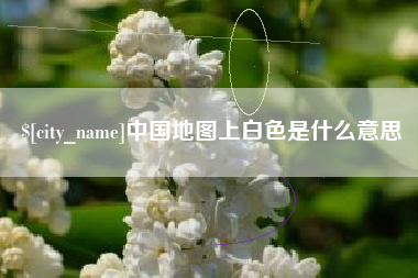 聊城中国地图上白色是什么意思