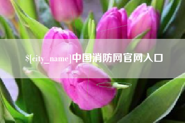 聊城中国消防网官网入口