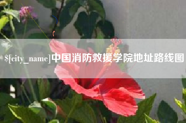 聊城中国消防救援学院地址路线图