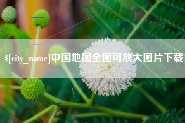 聊城中国地图全图可放大图片下载