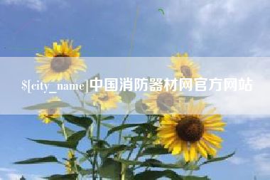 聊城中国消防器材网官方网站