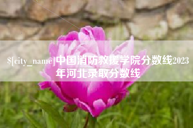 聊城中国消防救援学院分数线2023年河北录取分数线