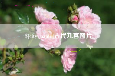 聊城古代九宫图片