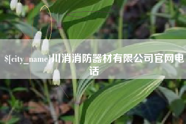 聊城川消消防器材有限公司官网电话
