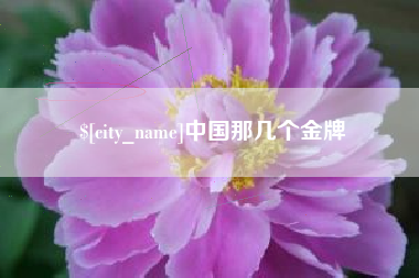 聊城中国那几个金牌