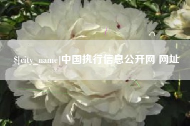 聊城中国执行信息公开网 网址