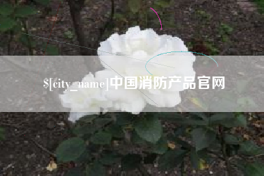聊城中国消防产品官网