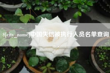 聊城中国失信被执行人员名单查询