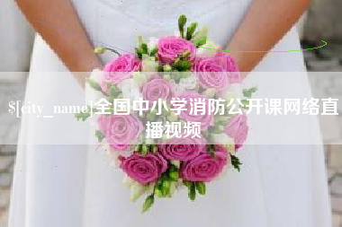 聊城全国中小学消防公开课网络直播视频