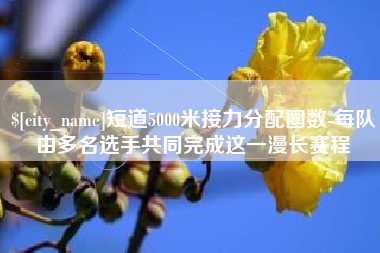 聊城短道5000米接力分配圈数-每队由多名选手共同完成这一漫长赛程