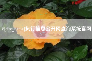 聊城执行信息公开网查询系统官网