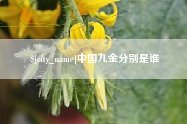 聊城中国九金分别是谁