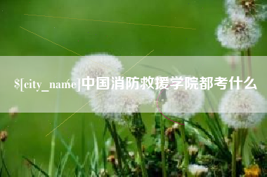 聊城中国消防救援学院都考什么