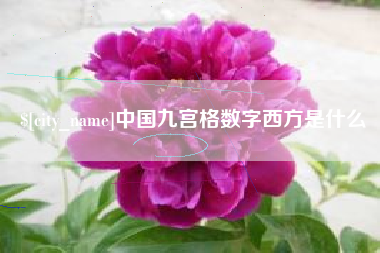 聊城中国九宫格数字西方是什么