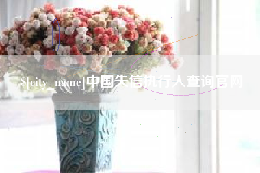 聊城中国失信执行人查询官网