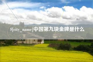 聊城中国第九块金牌是什么