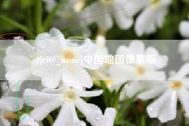 聊城中国地图像素版