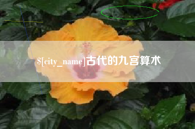 聊城古代的九宫算术