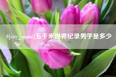 聊城五千米世界纪录男子是多少