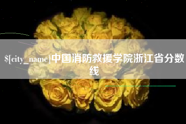 聊城中国消防救援学院浙江省分数线