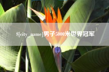 聊城男子5000米世界冠军