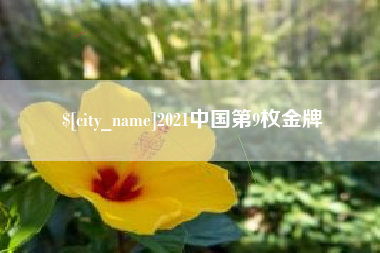 聊城2021中国第9枚金牌
