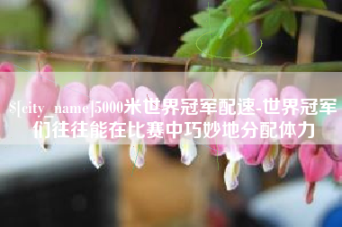 聊城5000米世界冠军配速-世界冠军们往往能在比赛中巧妙地分配体力