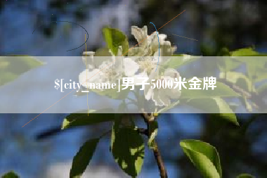 聊城男子5000米金牌