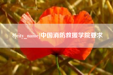 聊城中国消防救援学院要求