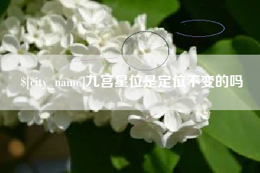聊城九宫星位是定位不变的吗