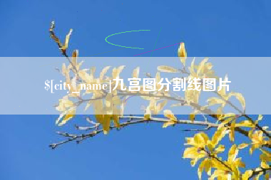 聊城九宫图分割线图片