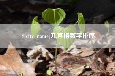 聊城九宫格数字排序