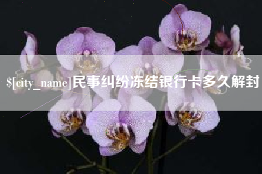 聊城民事纠纷冻结银行卡多久解封