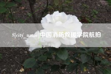 聊城中国消防救援学院航拍