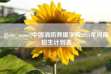 聊城中国消防救援学院2021年河南招生计划表
