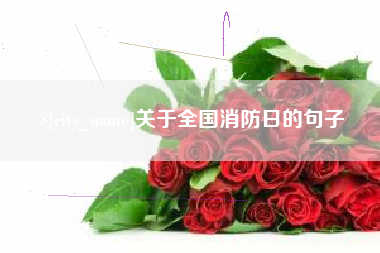 聊城关于全国消防日的句子