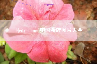 聊城中国金牌图片大全