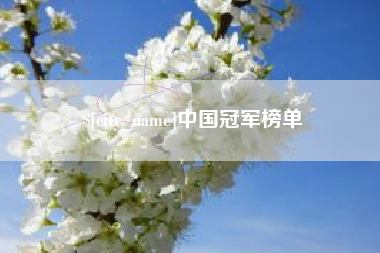 聊城中国冠军榜单