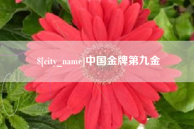 聊城中国金牌第九金