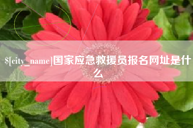 聊城国家应急救援员报名网址是什么