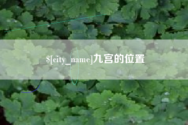聊城九宫的位置